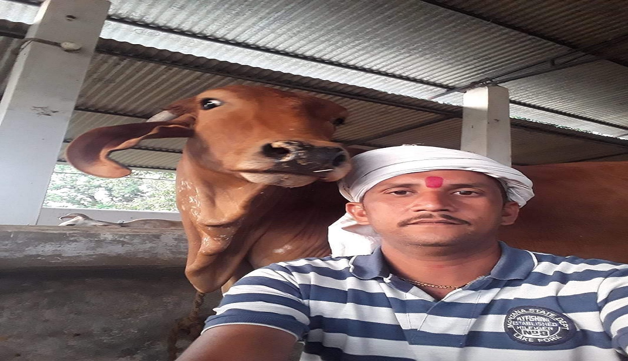 Rewa : मानवता की मिशाल, गौवंश से प्यार